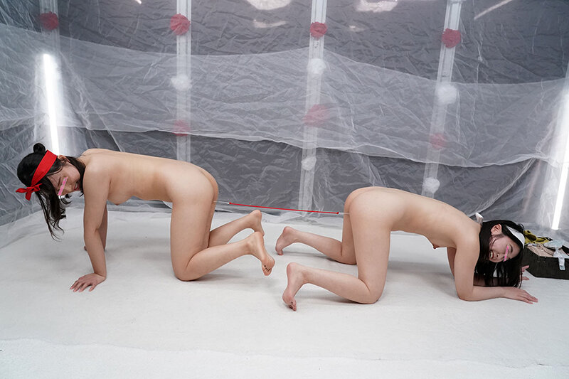 【素人】親友同士の女子大生対決！MM号大運動会 inザ・マジックミラー 【デカ尻相撲/オマ○コ綱引き/顔騎騎馬戦/金○転がし/膣ウェイトリフティング/お口だけでコンドーム装着競走】負ければ親友の前で公開デカチン即ハメ！│ザ・マジックミラー（MM号・MM便）│dvmm00234