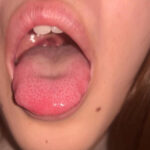 【素人】【特価】口腔観察VOL.1 8名150分お買い得セット│口内クイーン│h_1651nko00002